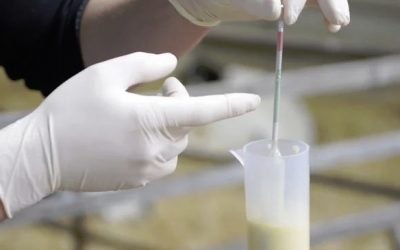 Colostrum – Being Brilliant at the Basics Video