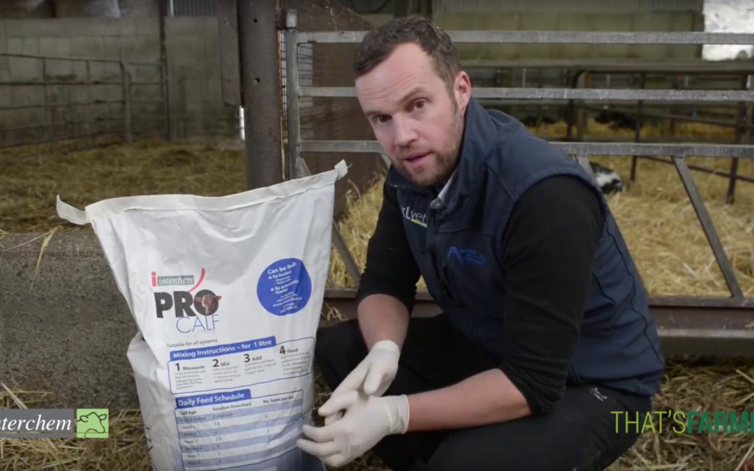Being Brilliant at the Basics – Video Series – Calf Nutrition