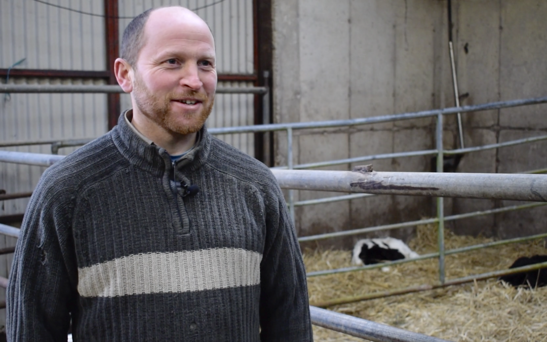 ProHeifer milk replacer achieves growth targets on Cork farm