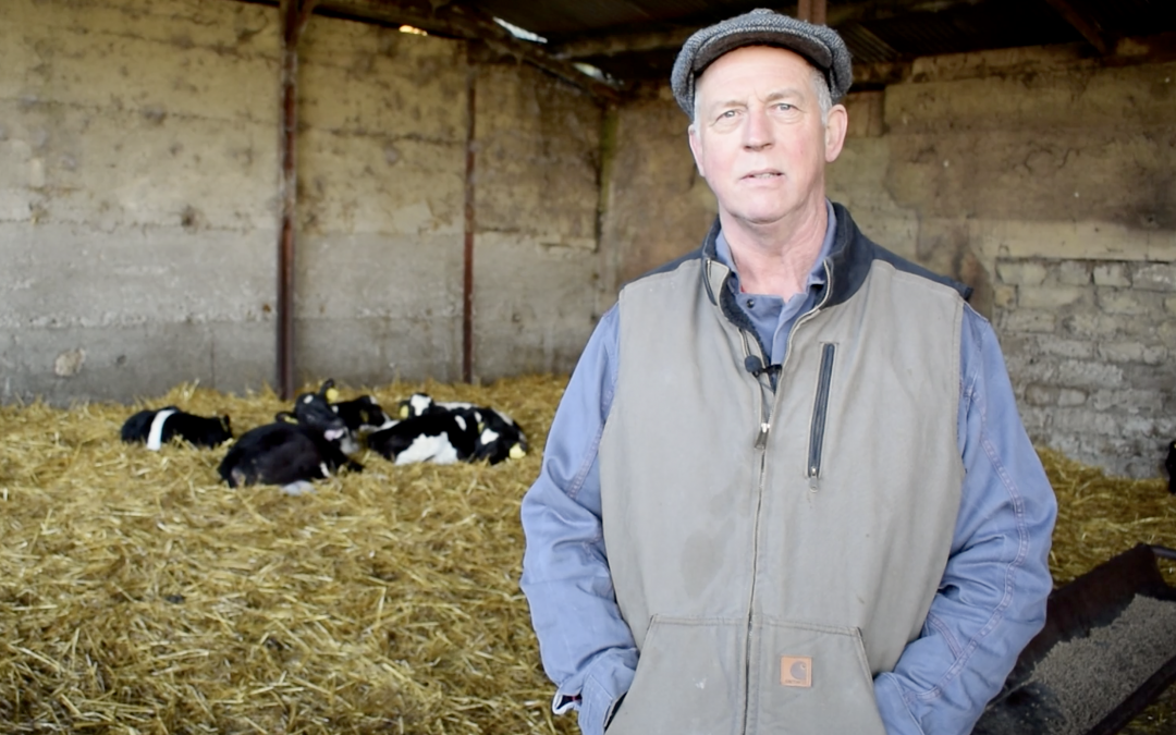 ProHeifer milk replacer achieves high growth rates