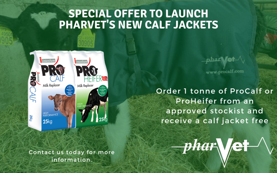 Benefits of calf jackets and some top tips while using them